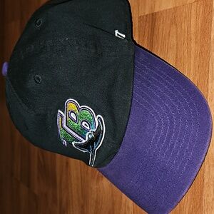 Tampa Bay Rays Cap